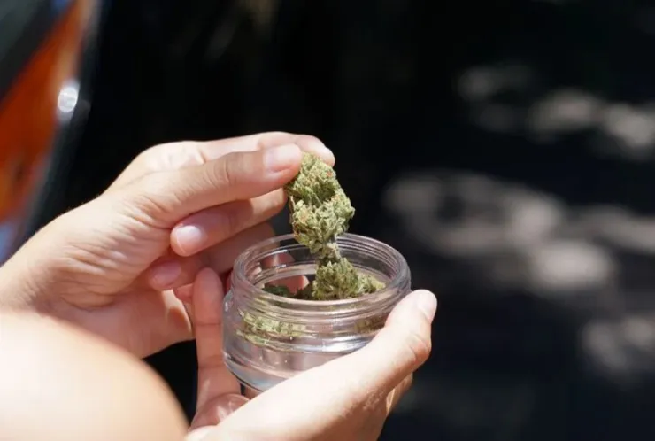 marihuana