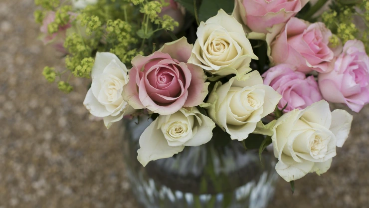 flores 1