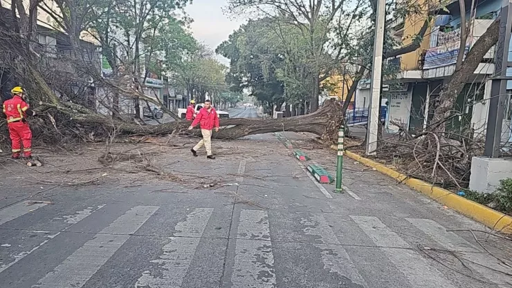 Caos vial en avenida Javier Mina… Este es el porqué