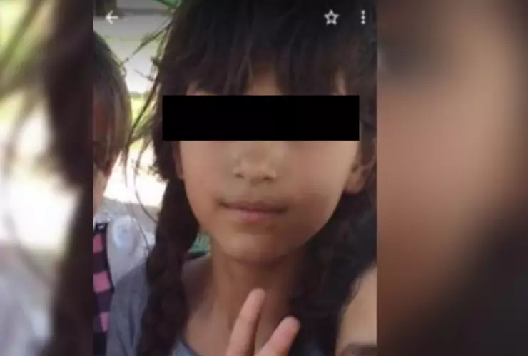 Angelie Chihuahua.jpg