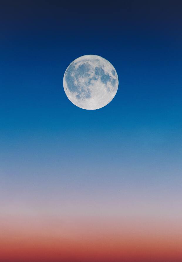 Super Luna, Gusanos, Cómo.jpg