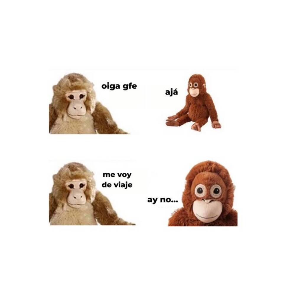meme 11.jpg