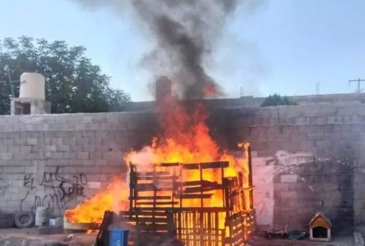 Texto del párrafo - 2025-05-15T092831.449.jpg