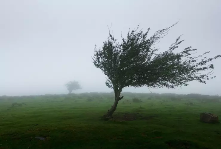Clima Aguascalientes ¿Afectará en la temperatura el ingreso del Frente Frío 31 en próximos días
