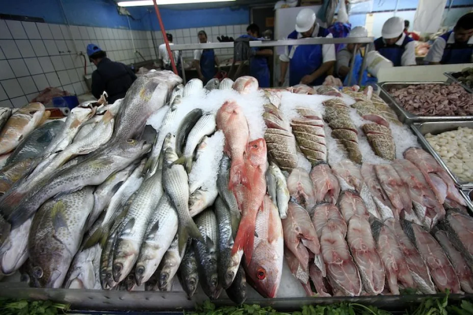 pesca1.jpg