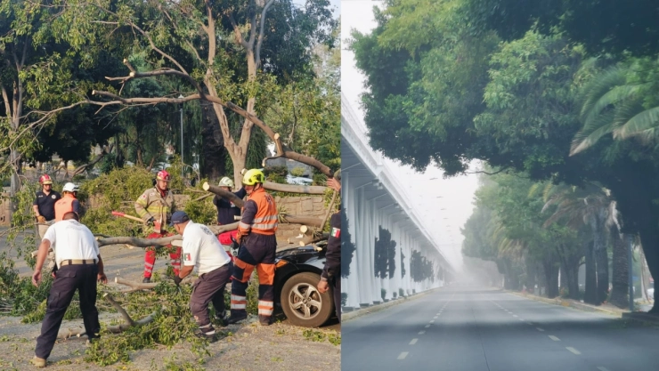 Fuertes rachas de viento registradas en Puebla hoy 15 de mayo de 2024 dejan afectaciones