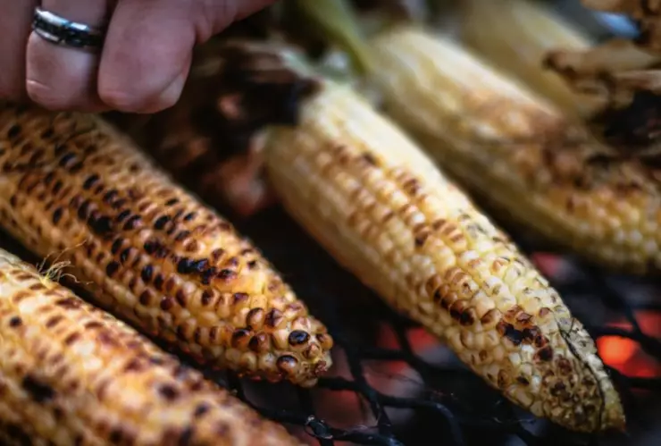 Así se celebrará la Feria del Elote 2025 en CDMX: Fechas, platillos y actividades