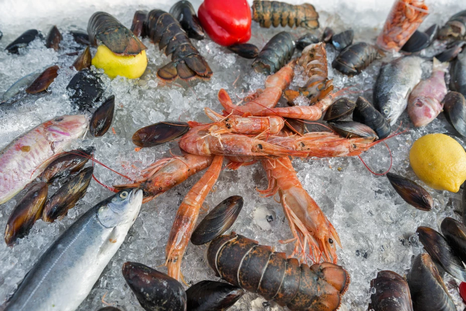 fresh seafood on ice