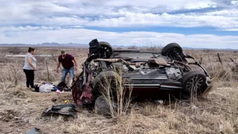 z - 2024-03-04T172843.662.jpg