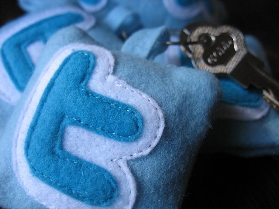 Directivos de Twitter colaborar para detectar y erradicar racismo en la red social, entre usuarios franceses