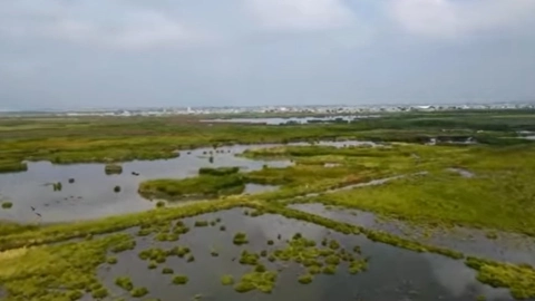 Lago de Texcoco
