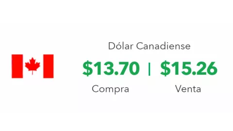 Tipo de cambio: Precio del dólar hoy 9 de septiembre 2024 en México