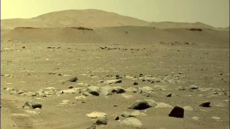 La existencia de vida en Marte resulta un misterio para la comunidad científica.