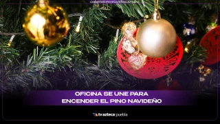 árbol nadiveño godín viral