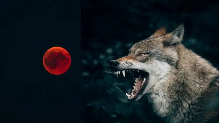 Eclipse lunar 2025_ ¿El hombre lobo saldrá hoy 13 de marzo de 2025