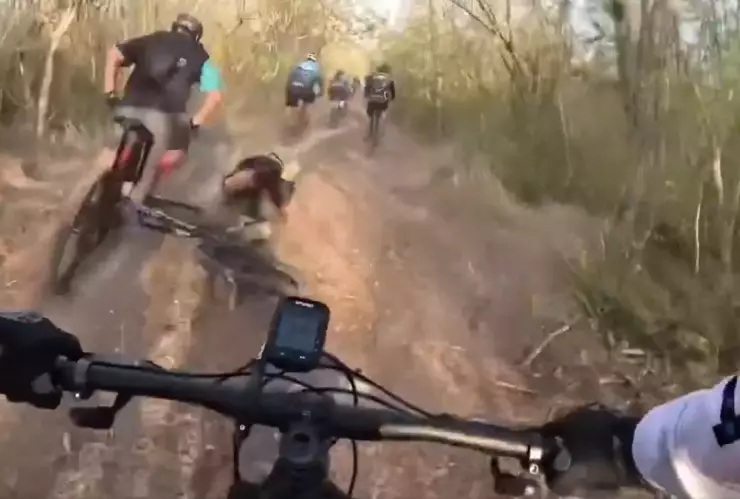 Ciclistas arrollados por un venado.png