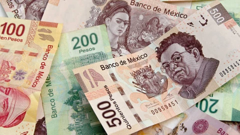 A partir del próximo 1 de febrero se actualizará la Unidad de Medida y Actualización (UMA).