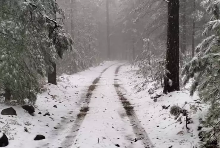 primera nevada méxico 2024 en chihuahua.jpg