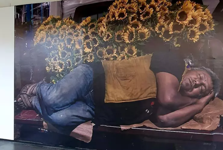 World Press Photo 2023