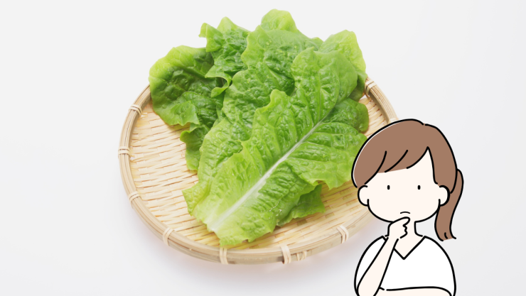 lechuga.png