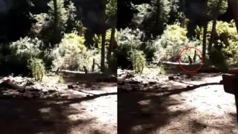 VIDEO Captan a un duende brincando en el cerro