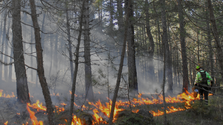 Aumentan incendios forestales en Guanajuato por pirotecnia y prevención.png