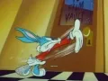 tiny-toons-origen