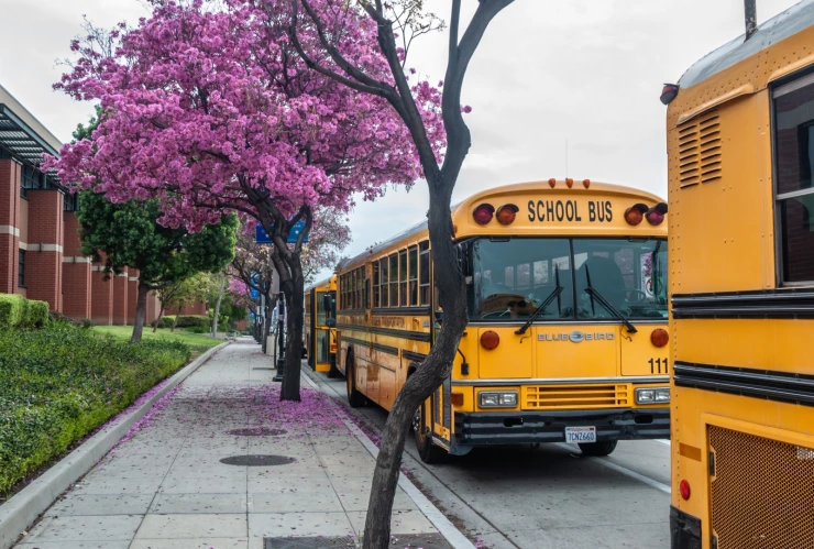 Autobuses escolares estacionados a las afueras de una escuela en California