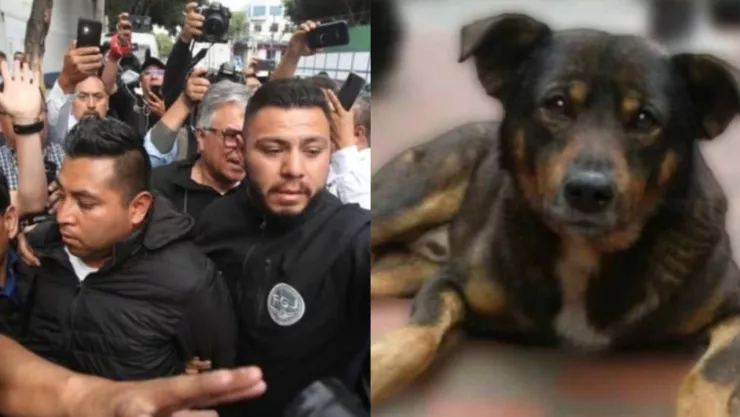Hombre que mató a perro en aceite