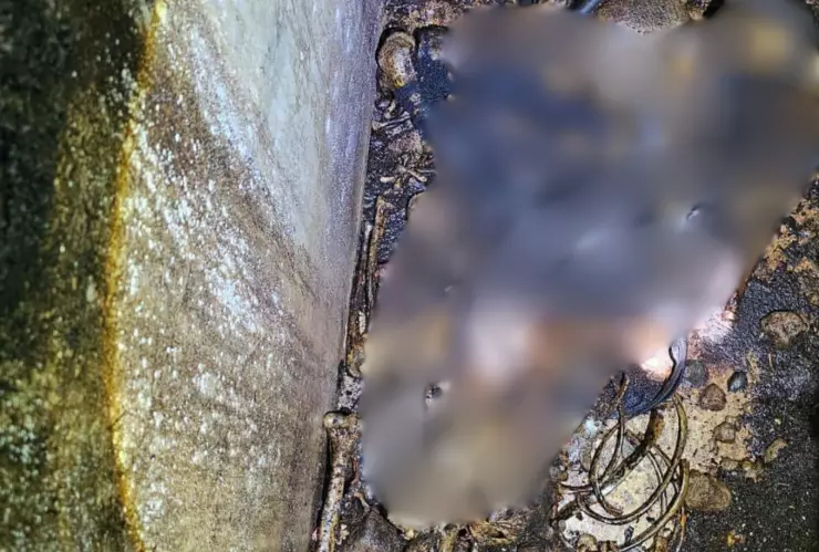 Restos humanos Cacahoatán