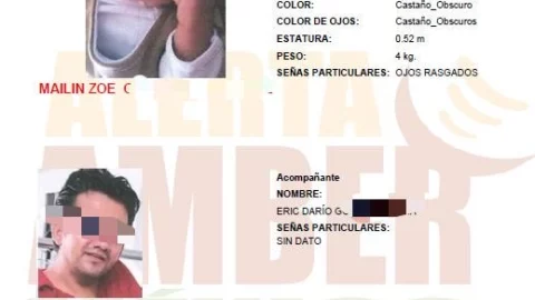 Eric Darío N violencia vicaria