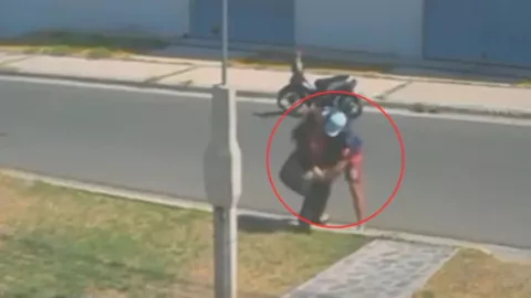 Maestra apuñalada.jpg