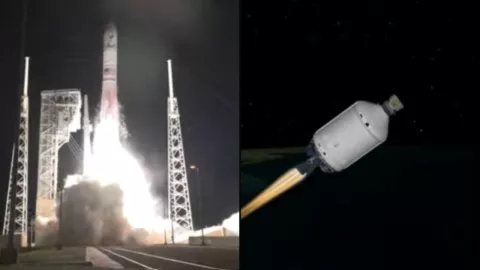 Proyecto Colmena de la UNAM