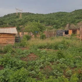 Familias en Sinaloa sufren desplazamiento forzado por la violencia