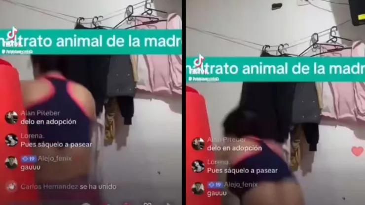 VIDEO indignante | En plena transmisión EN VIVO, influencer es captada golpeando a su perrito