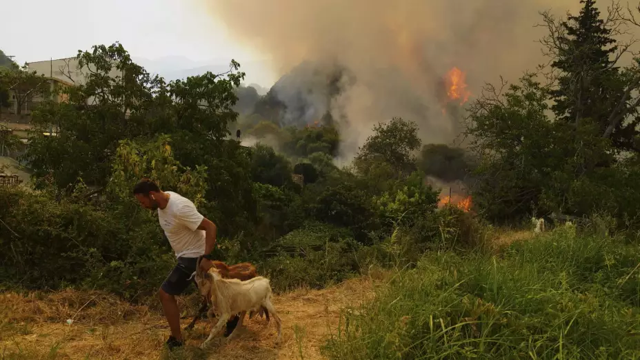 CAMBIO CLIMÁTICO-INCENDIOS