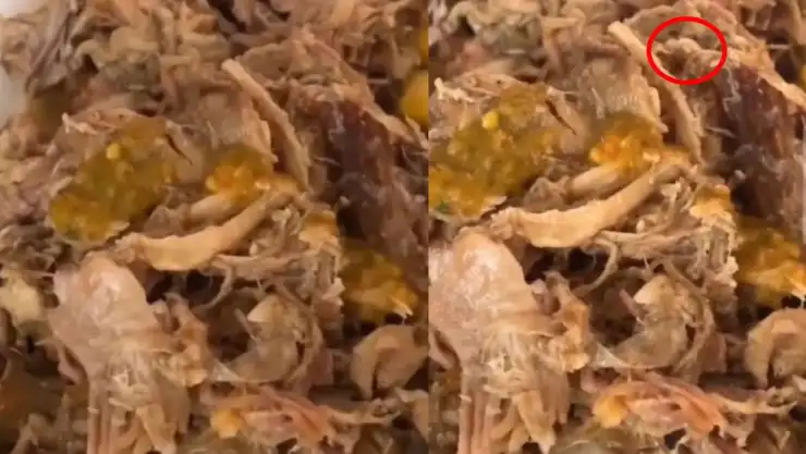 tacos con gusanos xalapa.