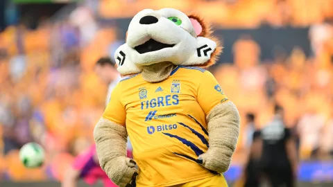 Tigre de Peluche, la mascota de los Universitarios 
