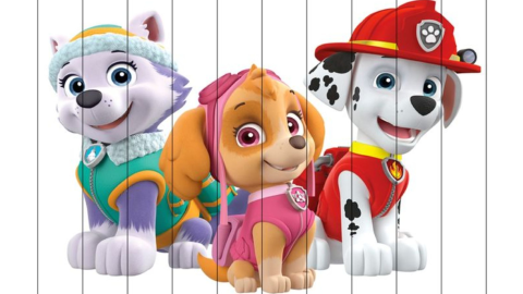 Paw Patrol