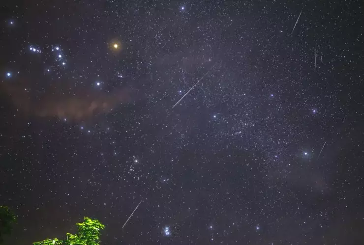 pexels-arman-alcordo-jr-52026507-8390734 (1).jpg