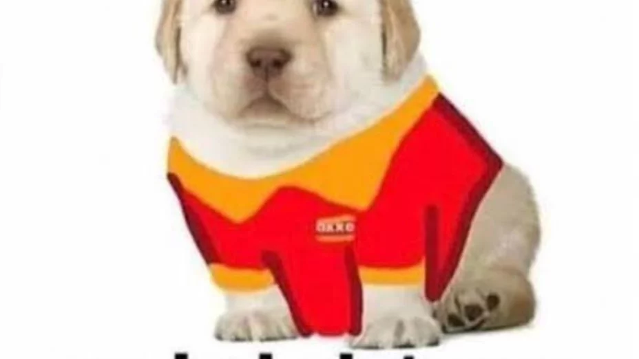 Meme de la caída de Facebook.jpeg