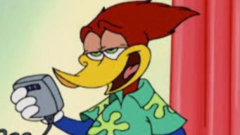 pajaro loco