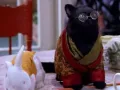 salem-saberhagen-sabrina-la-bruja-adolescente