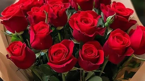 Flores para regalar 10 de mayo