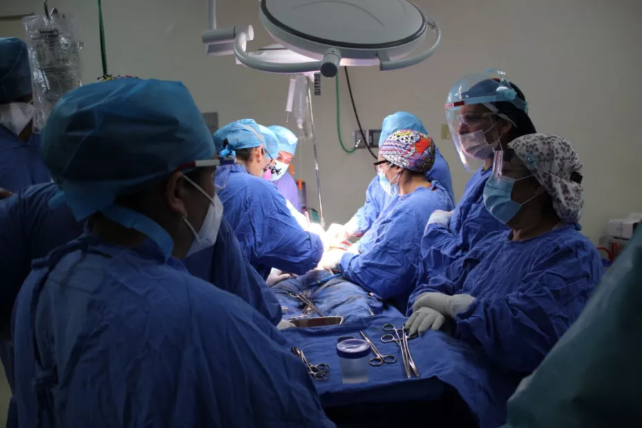 Donación de órganos.jpeg