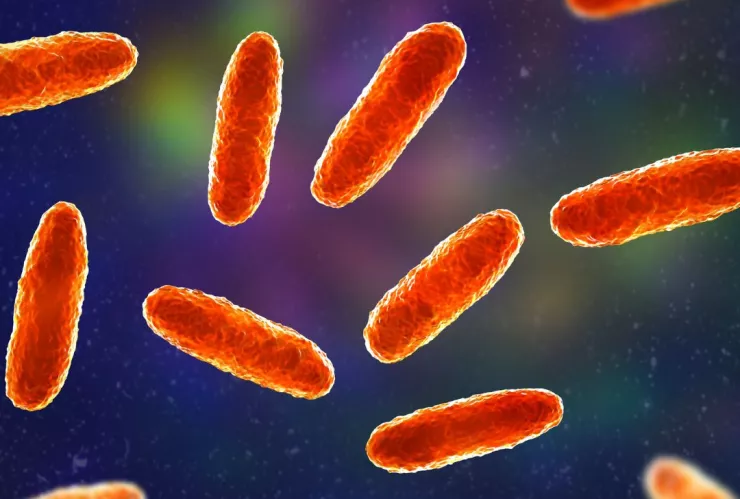 Infección por la bacteria Klebsiella oxytoca