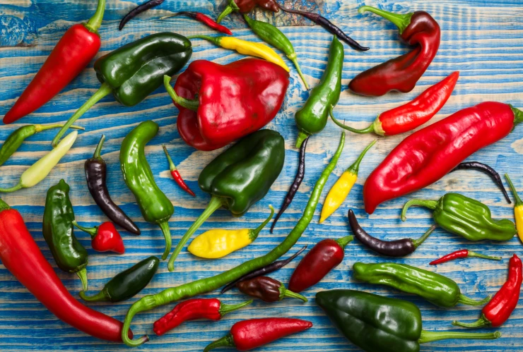 El picante y sus efectos en el cuerpo beneficios, riesgos y los chiles más picosos de Guanajuato.png