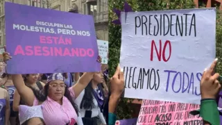 Cuál fue el crimen que dio origen a la protesta mundial del 25N