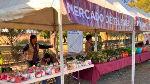 Mercado de Trueque CDMX