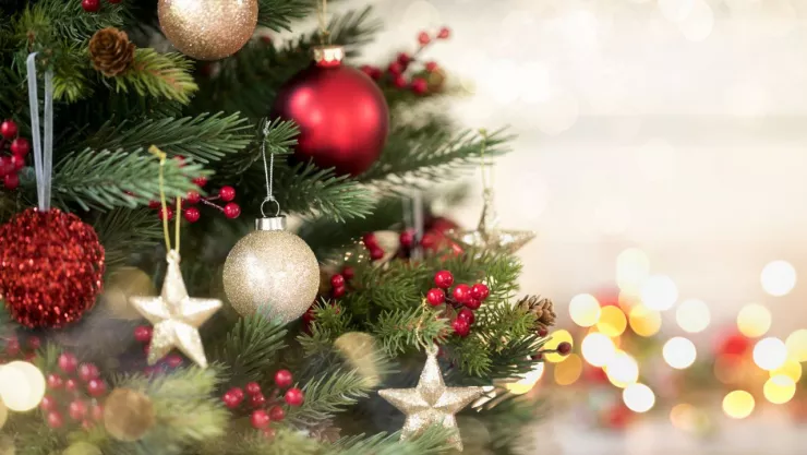 Las casas de Infonavit decoradas en Navidad se han vuelto tendencia en redes sociales